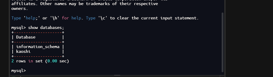 image-20250327155929802