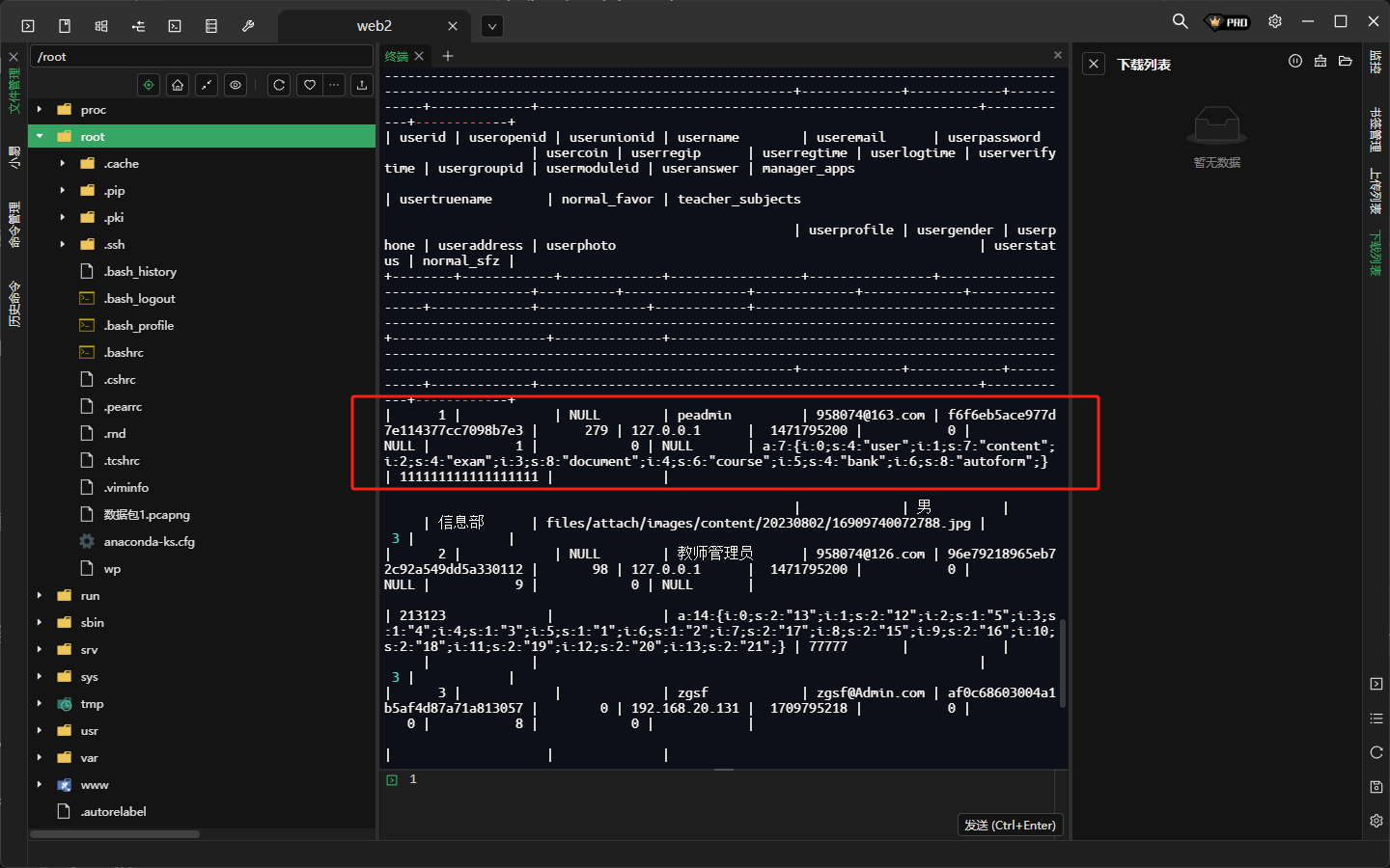 image-20250327160629538