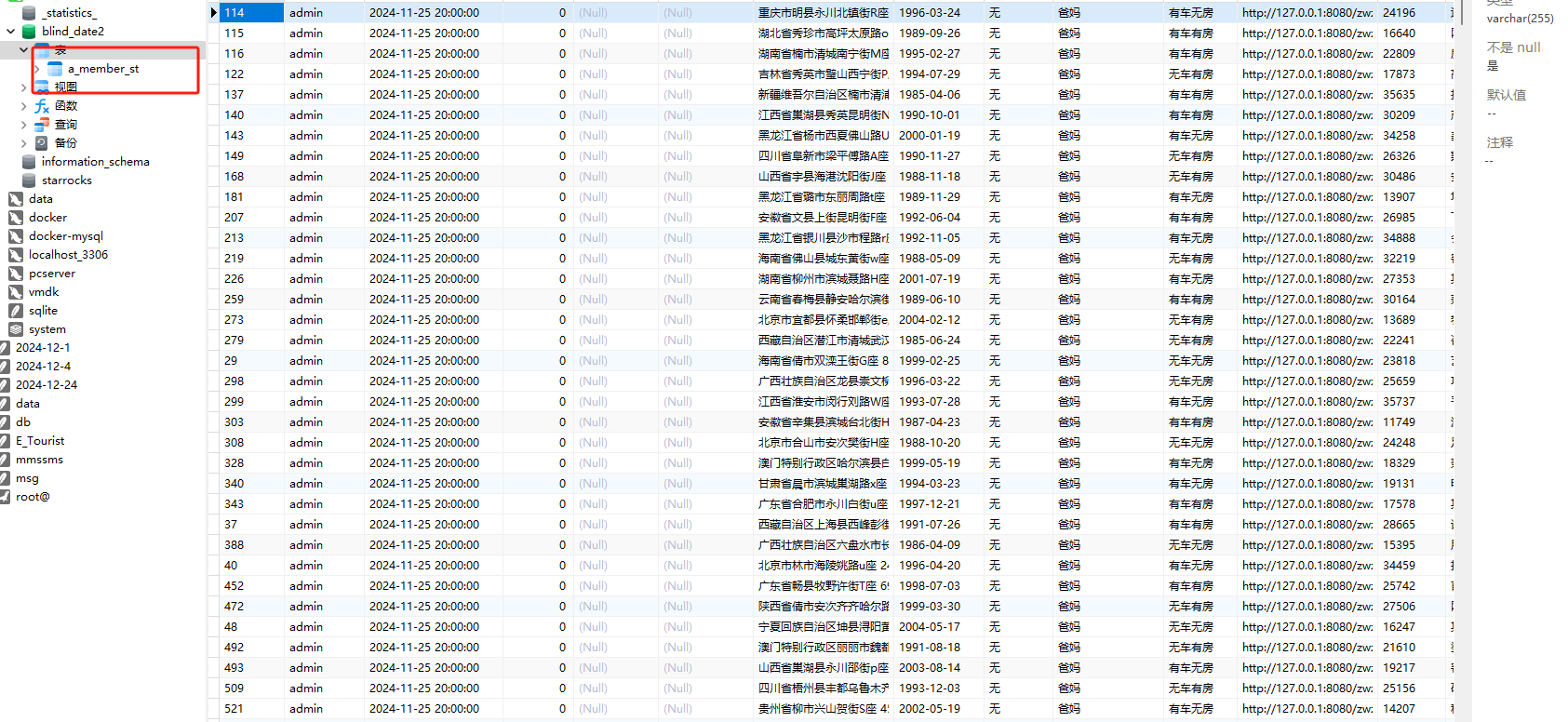 image-20250413214342186