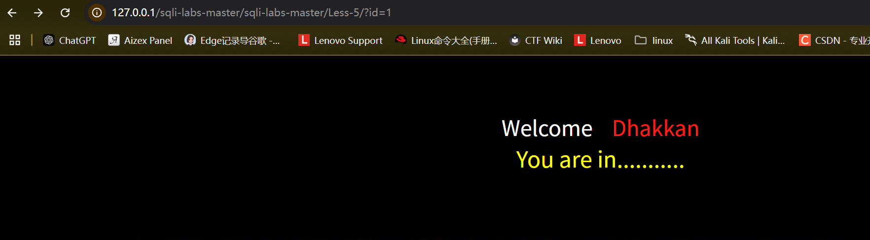 image-20250526231709030