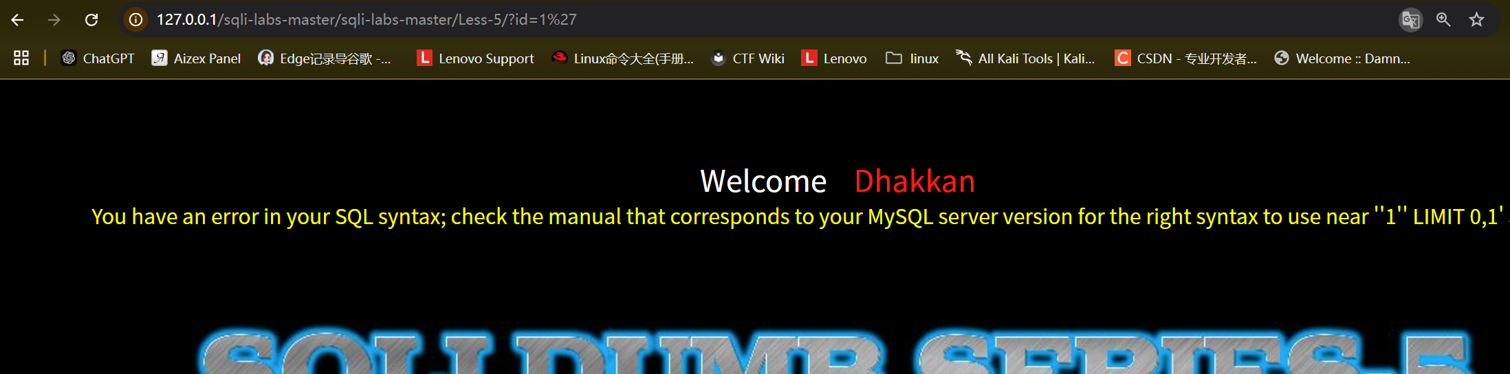 image-20250526231737598