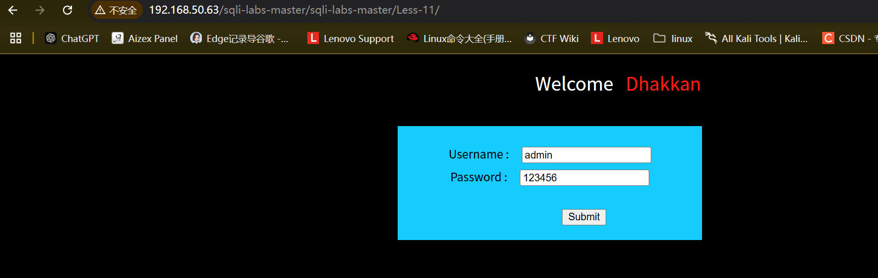 image-20250527003055954